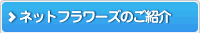 ネットフラワーズのご紹介