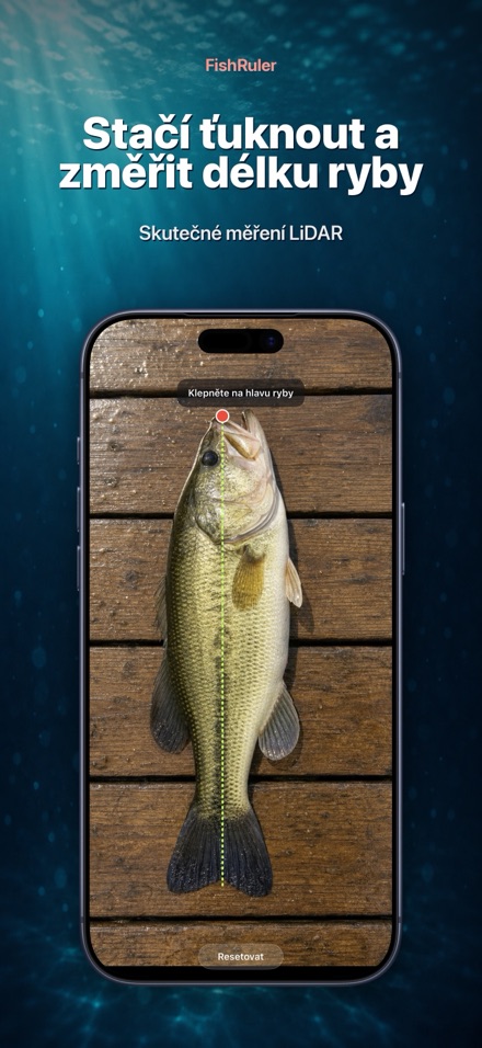 FishRuler: měření ryby AR 1