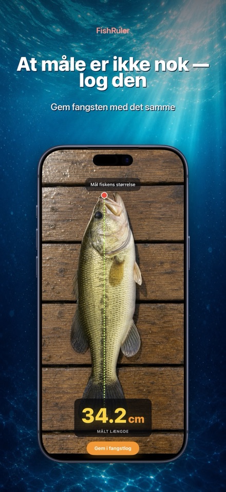 FishRuler: mål fisk i AR 2
