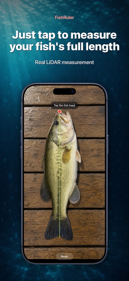 FishRuler: Fish Size Measure 1