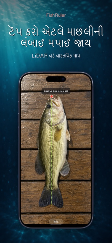 FishRuler: માછલી માપો 1