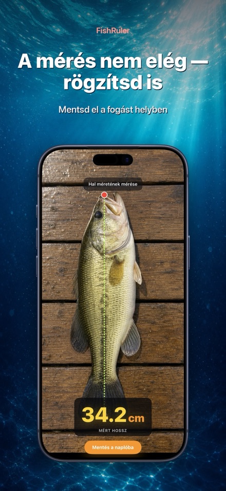 FishRuler: halmérés AR-ral 2