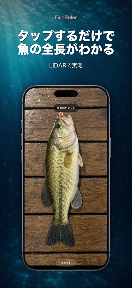 FishRuler：魚のサイズ計測 1