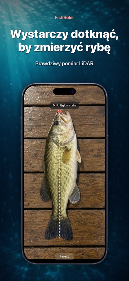 FishRuler: pomiar ryby AR 1