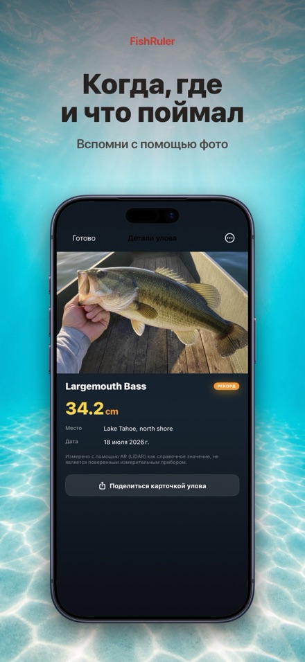 FishRuler: замер рыбы в AR 6