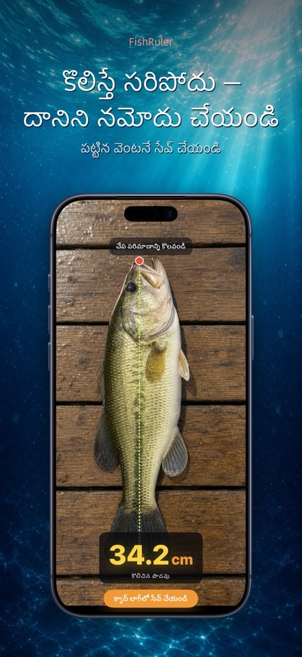FishRuler: చేప కొలత 2