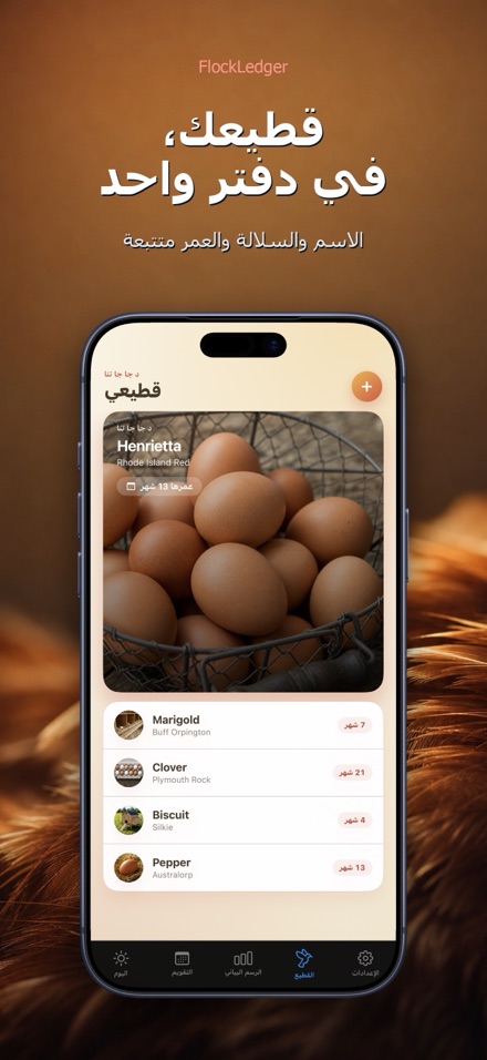 FlockLedger: عداد البيض 5