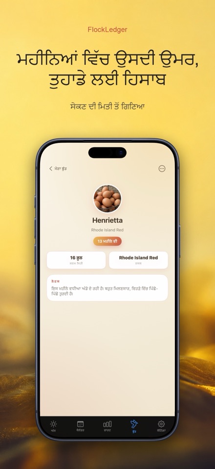 FlockLedger: ਅੰਡਾ ਕਾਊਂਟਰ 7