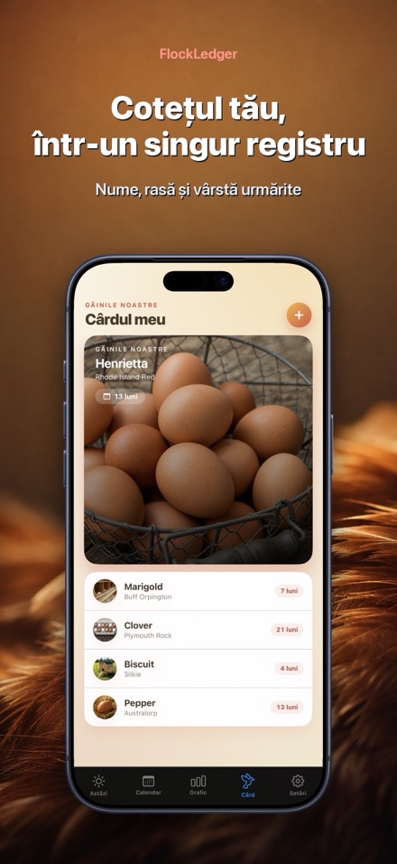 FlockLedger: Contor Ouă 5