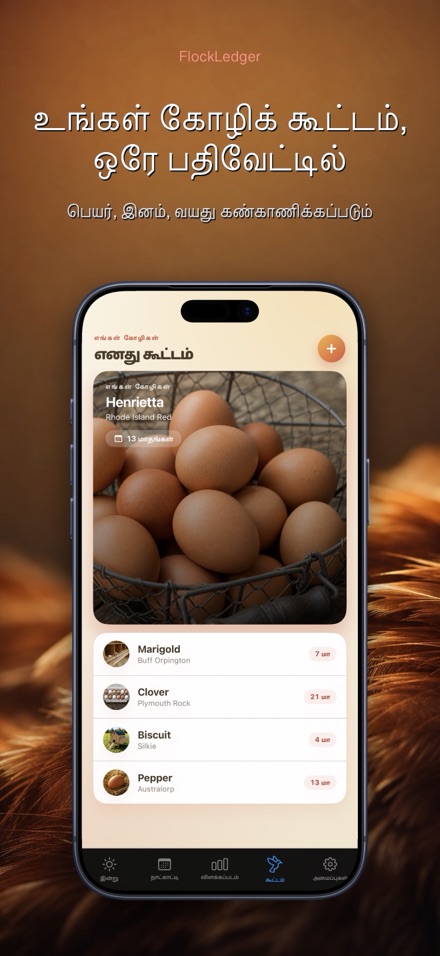 FlockLedger: முட்டை எண்ணிக்கை 5