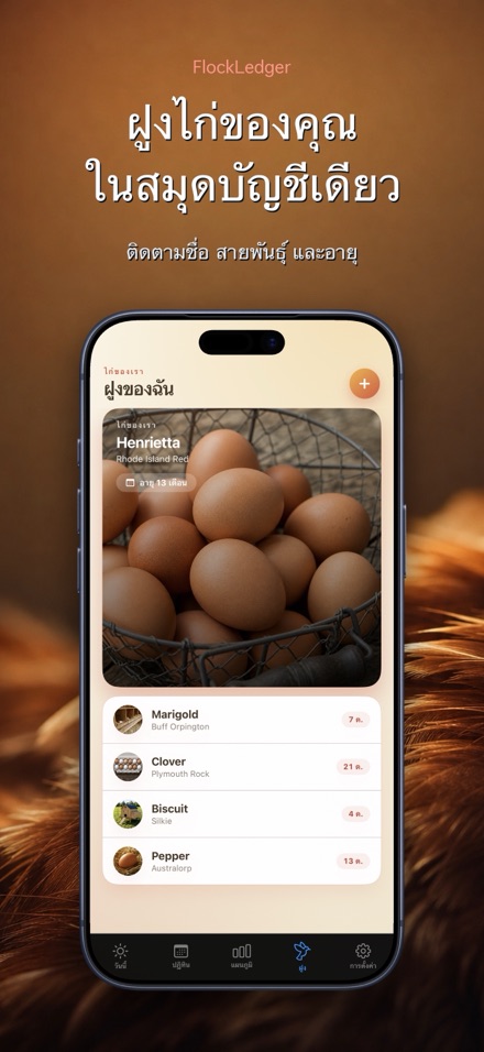 FlockLedger: นับไข่ไก่ 5