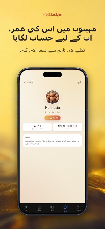 FlockLedger: انڈے کاؤنٹر 7