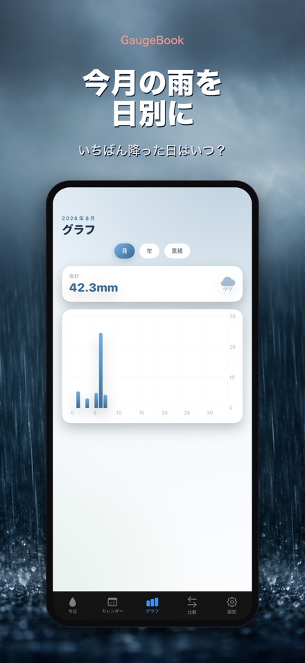 GaugeBook:雨量計日誌 3