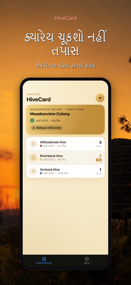 HiveCard: મધમાખી ડાયરી 6