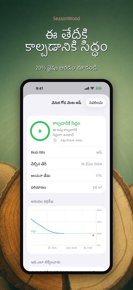 SeasonWood: కట్టెల ఆరుదల 2